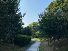 -深圳湾公园(南山区)
