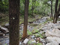 -玉渡山自然风景区