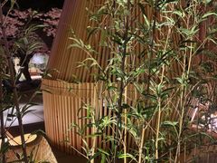 -蓝鲸湾汤泉(包河店)