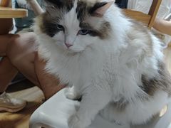 -白兔子密室(长寿路店)