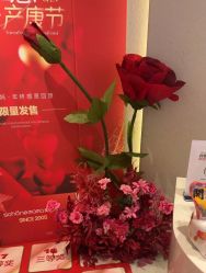 -美丽妈妈产后恢复中心(三林店)