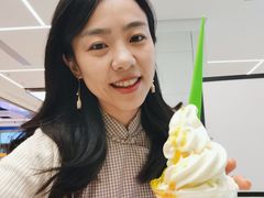 -Salud撒露欧洲冻酸奶(五道口购物中心店)
