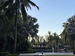 -三亚湾海居铂尔曼度假酒店