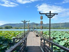 -长田漾湿地公园