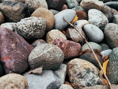 -三圣花乡旅游区