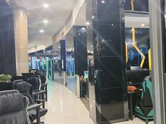 -绿树电竞(五路店)