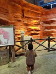 -酷嗒动物文化乐园(cutezoo西溪乐天城店)