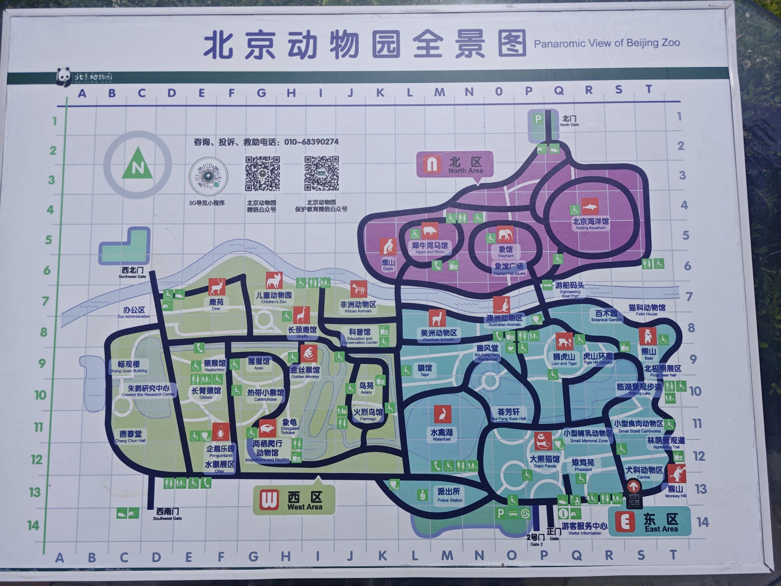 动物园的萌宠大巡游