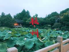 -杭州西子湖四季酒店·金沙厅