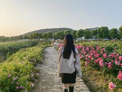 -苏州太湖国家湿地公园