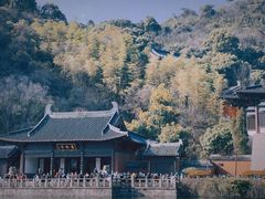 -鲁镇