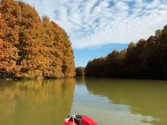 -上海海湾国家森林公园