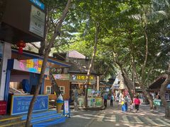 -海南分界洲岛旅游区