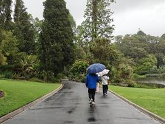 -墨尔本皇家植物园
