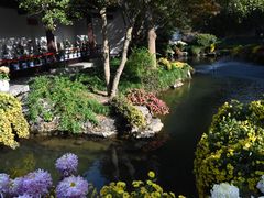 -杭州植物园