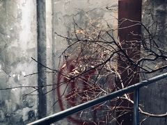 -作咖啡(养育巷店)