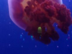 -欧亚达商业广场(红桥店)