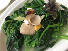 上汤菠菜-新发记港式茶餐厅(黄浦店)