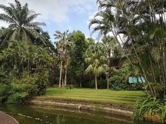 -海南热带野生动植物园
