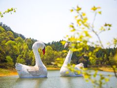 -千岛湖龙川湾