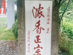 -泸州老窖景区