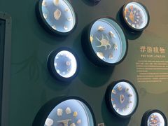 -中国湿地博物馆