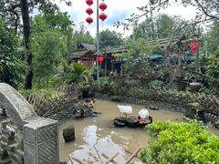 -青城甲(青城山店)