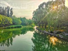 -大兴滨河森林公园