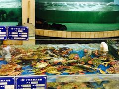 -沪华海鲜大酒楼(南汇店)