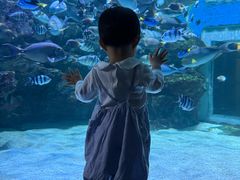 -海合安成都极地海洋公园