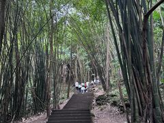 -凤栖山