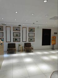 -MIVI野生眉纹绣纹眉