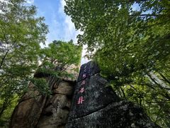 -汤旺河林海奇石景区