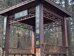 -沈阳森林动物园
