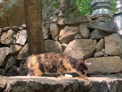 -天津盘山风景名胜区