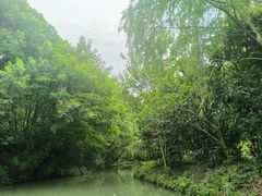 -同里国家湿地公园