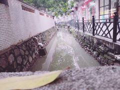 -小洲村