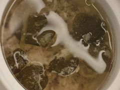 养生金线莲-大丰苑(海韵店)