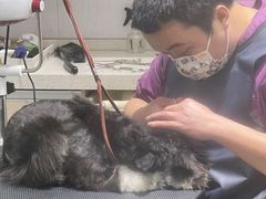 -宠颐生动物医院·小陆分院