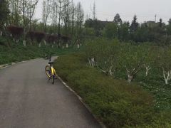 -白鹭湾湿地公园