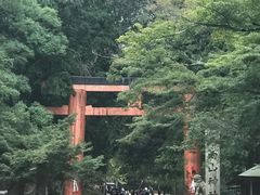 -奈良公园