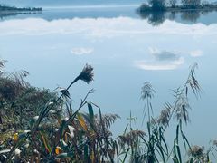 -东钱湖旅游度假区