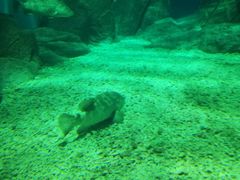 -福州罗源湾海洋世界旅游区