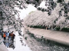-海棠花溪(元大都城垣遗址公园)