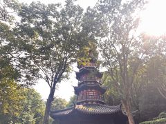 -上海佘山国家森林公园西佘山园