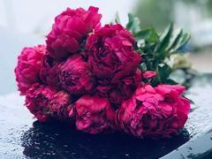 -皇家美孚(麦岛店)