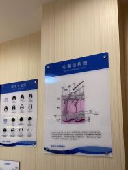 -碧莲盛·不剃发植发