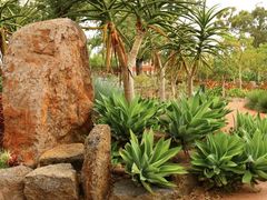-墨尔本皇家植物园