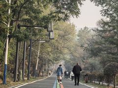 -吉林市朱雀山国家森林公园