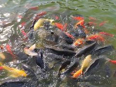 -唐山抗震纪念碑广场